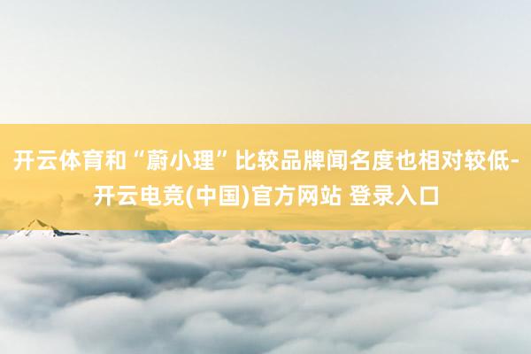 开云体育和“蔚小理”比较品牌闻名度也相对较低-开云电竞(中国)官方网站 登录入口