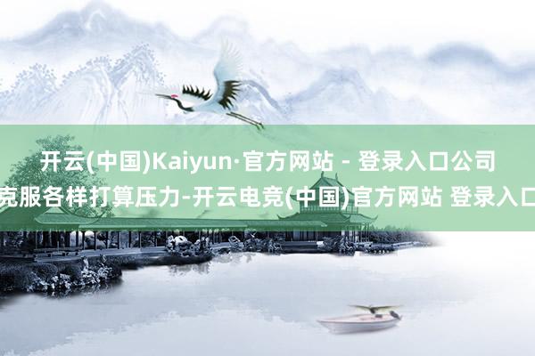 开云(中国)Kaiyun·官方网站 - 登录入口公司克服各样打算压力-开云电竞(中国)官方网站 登录入口