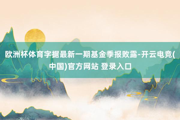 欧洲杯体育字据最新一期基金季报败露-开云电竞(中国)官方网站 登录入口