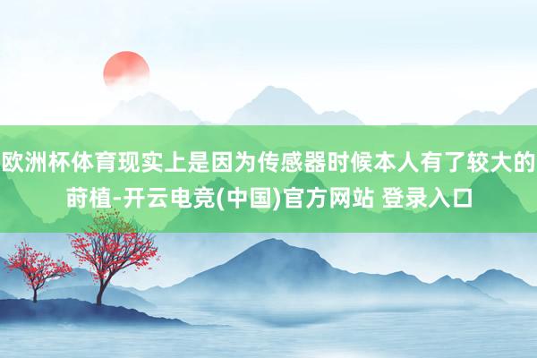 欧洲杯体育现实上是因为传感器时候本人有了较大的莳植-开云电竞(中国)官方网站 登录入口