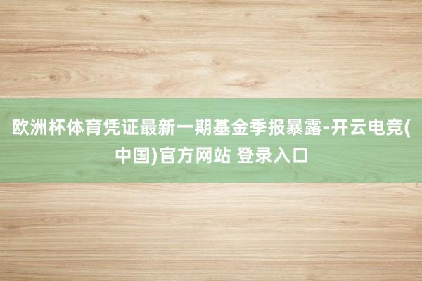 欧洲杯体育凭证最新一期基金季报暴露-开云电竞(中国)官方网站 登录入口