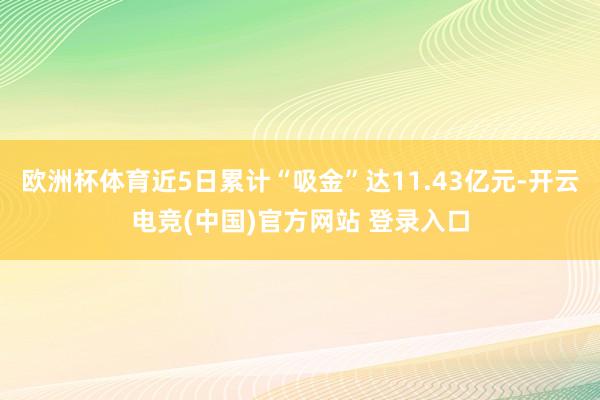 欧洲杯体育近5日累计“吸金”达11.43亿元-开云电竞(中国)官方网站 登录入口