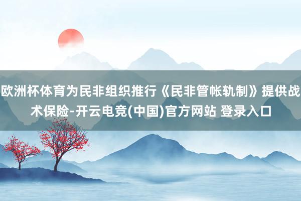 欧洲杯体育为民非组织推行《民非管帐轨制》提供战术保险-开云电竞(中国)官方网站 登录入口