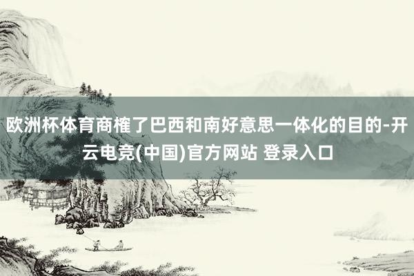 欧洲杯体育商榷了巴西和南好意思一体化的目的-开云电竞(中国)官方网站 登录入口