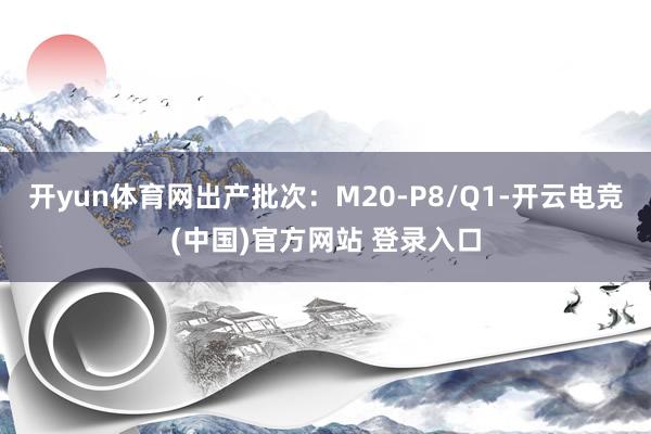 开yun体育网出产批次:M20-P8/Q1-开云电竞(中国)官方网站 登录入口